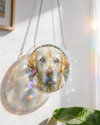 Stein-Hund Lichtf?nger ¨C Acryl-Fensterbild